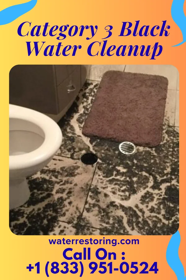 Category 3 Black Water Cleanup in Lake Lillian, MN