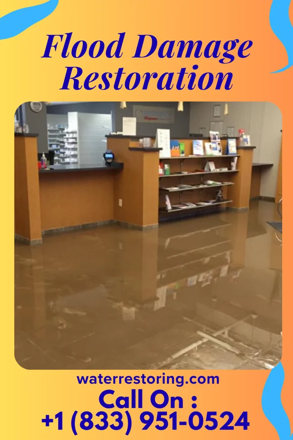 Flood Damage Restoration in Lake Lillian, MN