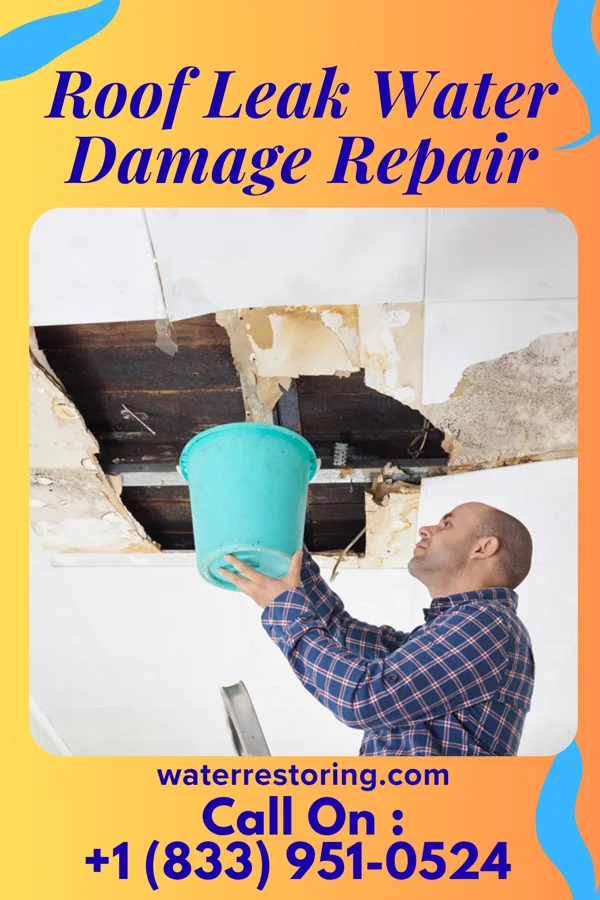 Roof Leak Water Damage Repair in Lake Lillian, MN