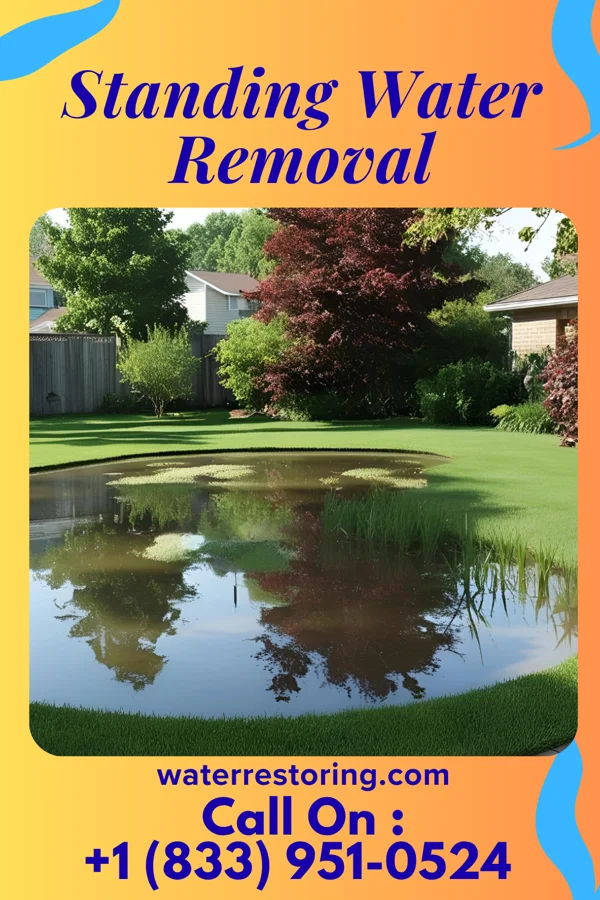 Standing Water Removal in Lake Lillian, MN